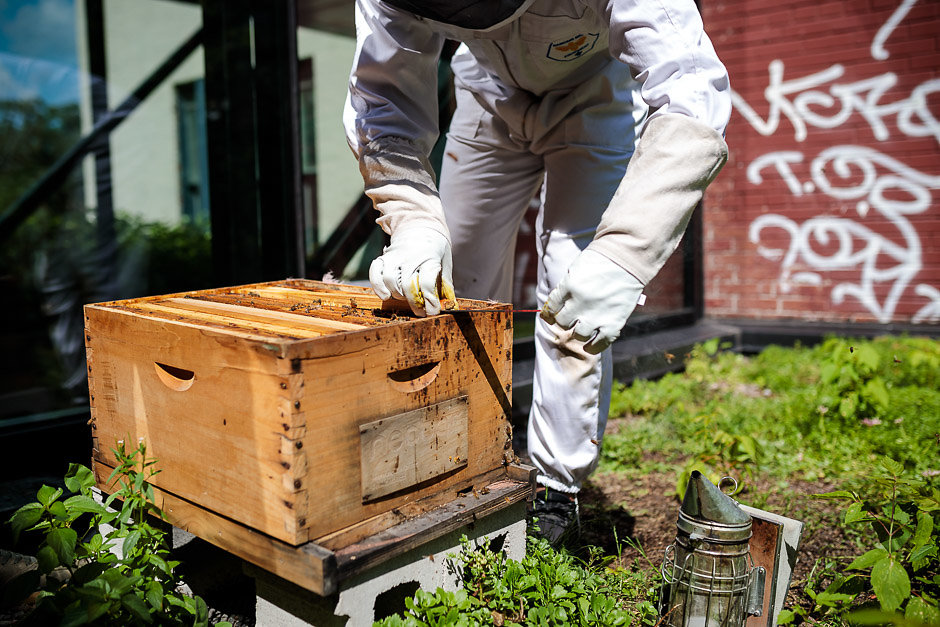 Beekeeper with hive - Nectar